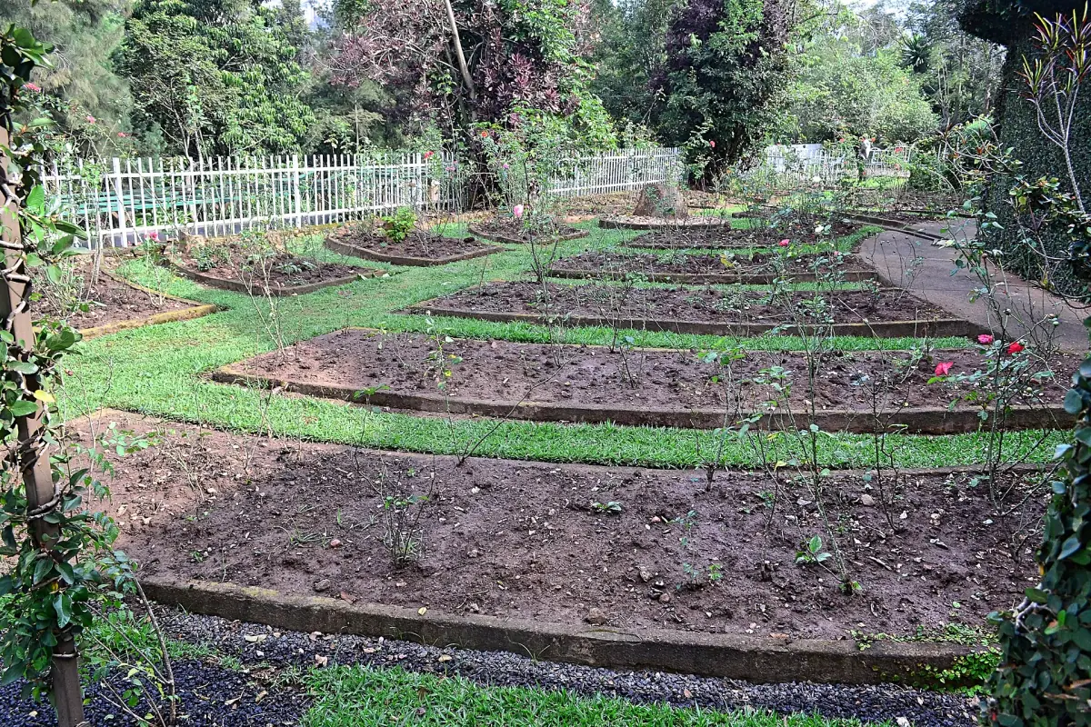 Les jardins et les fosses communes du mémorial du génocide de Kigali