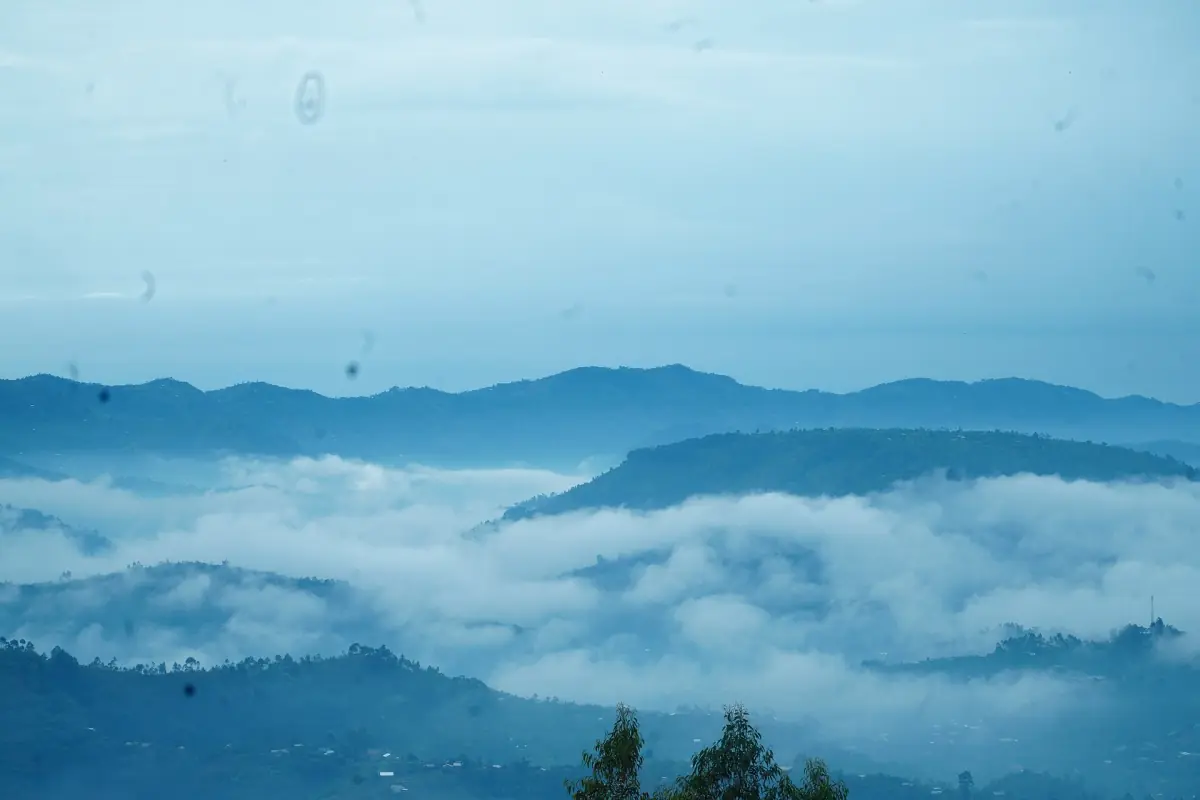 Collines étagées au-dessus des nuages au Rwanda