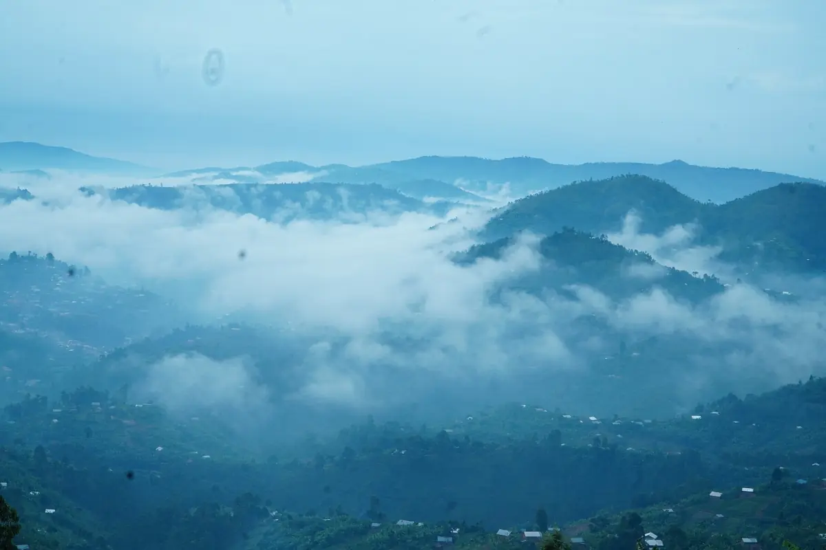 Brume matinale entre les collines verdoyantes du Rwanda