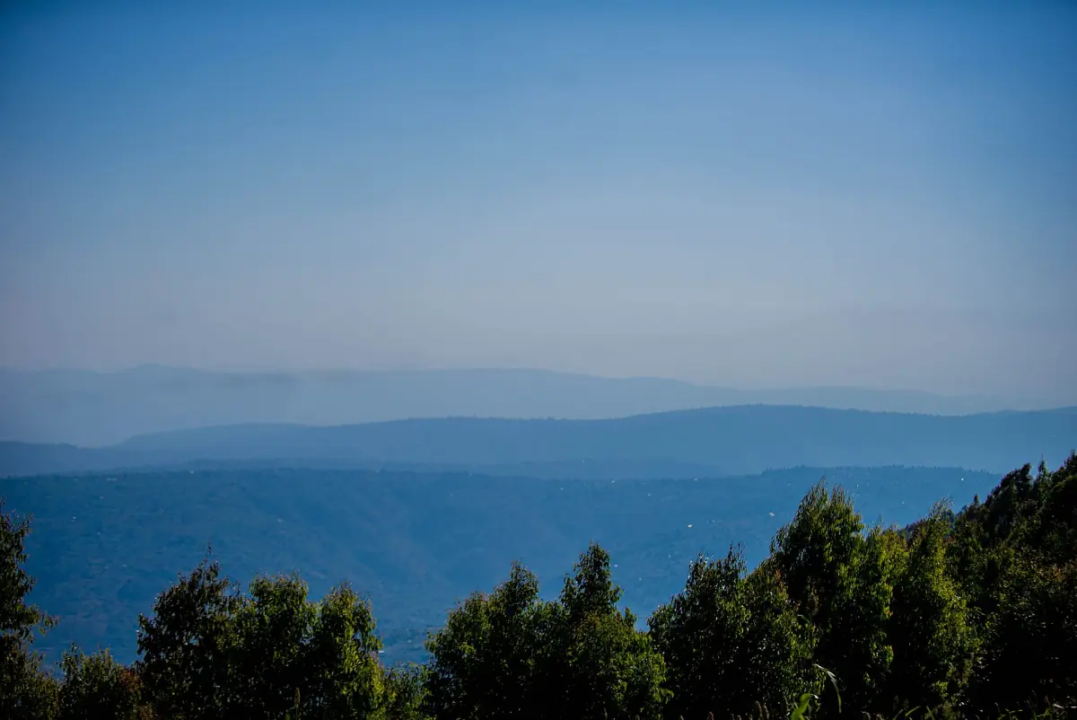 Les collines boisées du Rwanda au crépuscule