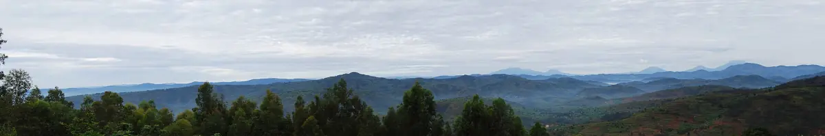 Vue sur la forêt et les volcans des Virunga